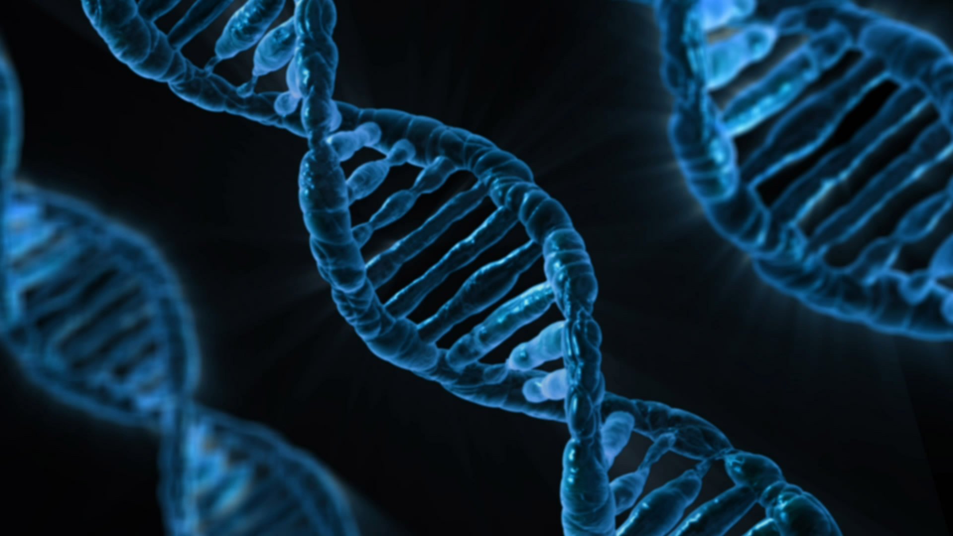 Evidências potenciais dos fenômenos quânticos na biologia