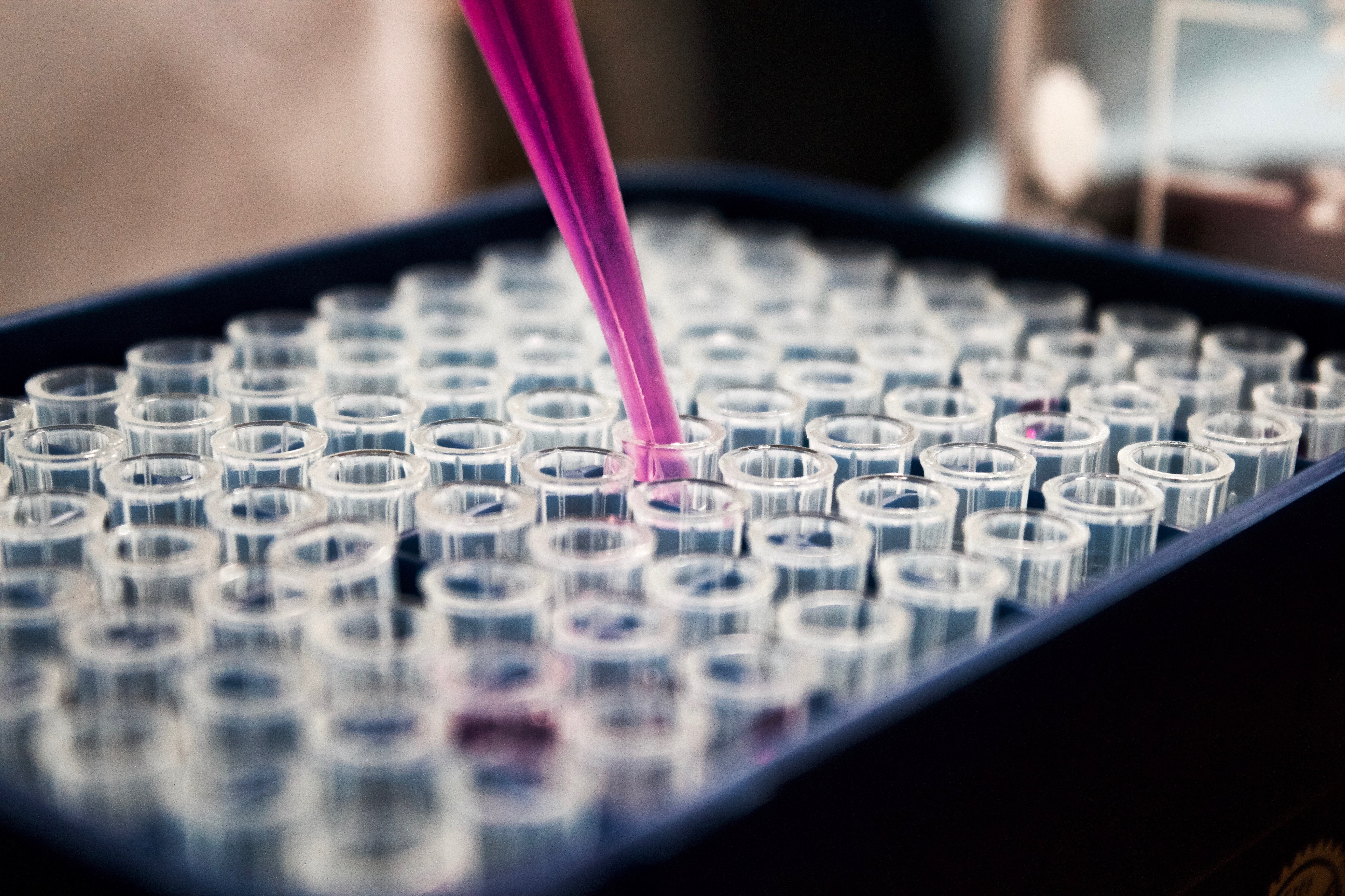 Os ingredientes necessários para a biologia quântica