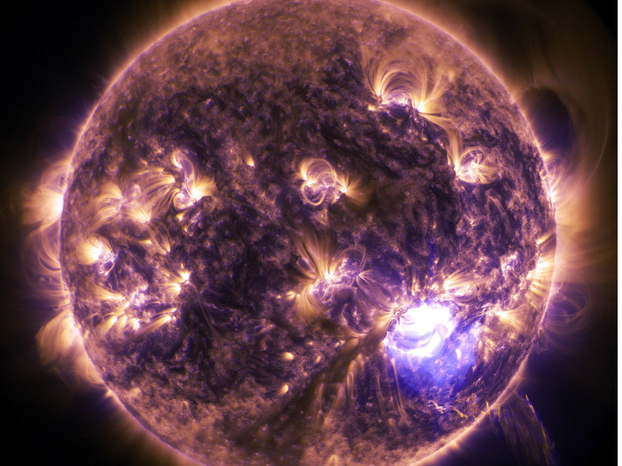 UVA-photosensitizer inducing oxidative and proteotoxic stress response