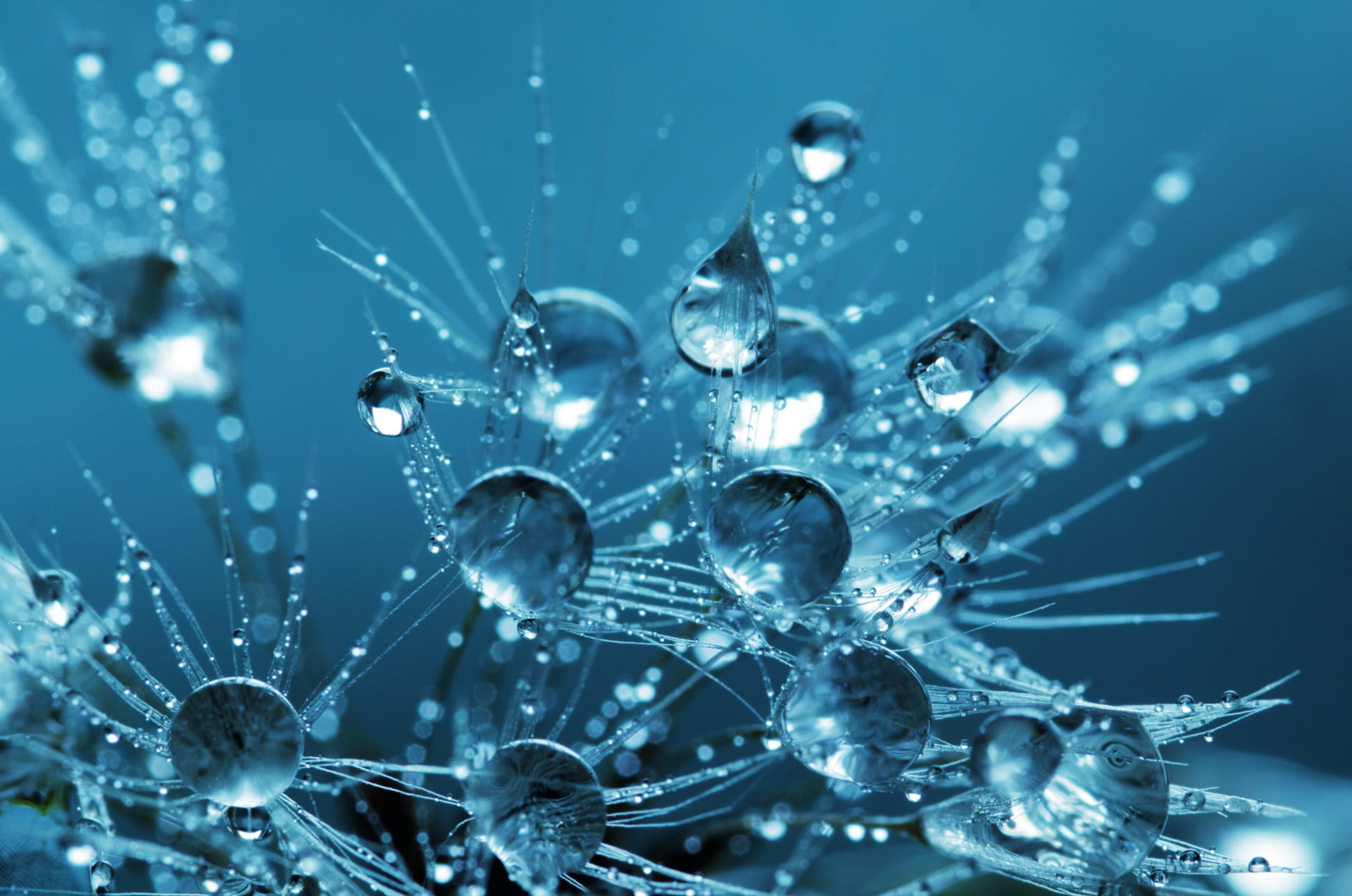 water droplets