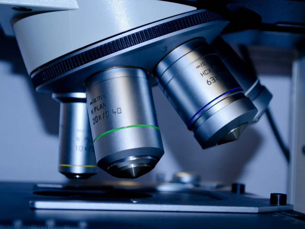 Quantum biology: An update and perspective