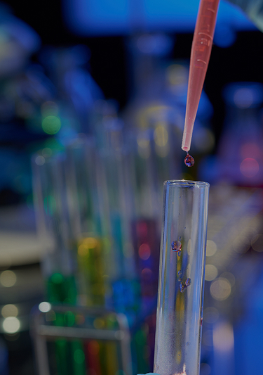 Background Breadcrumps Mobile