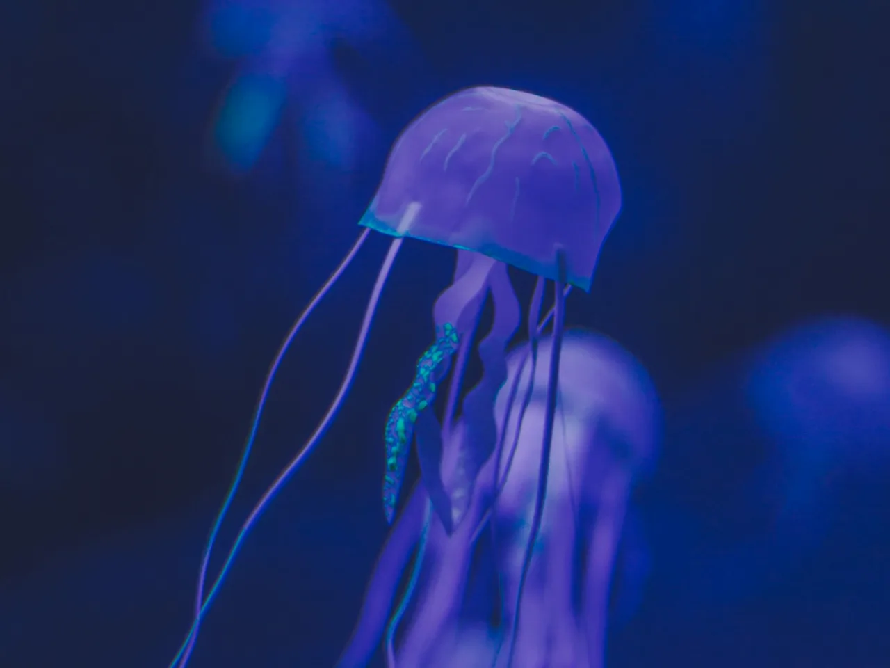 Comunidade Quantum Bio Brasil