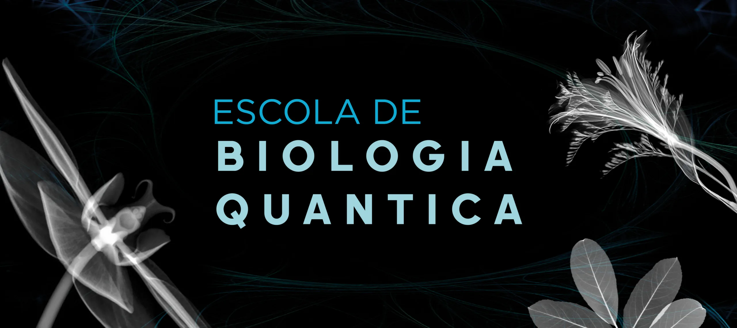 Quantum Biology School