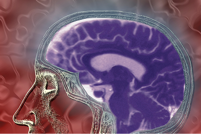 Neuroscience of Values and Beliefs