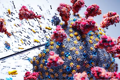 Quantum Biology Community